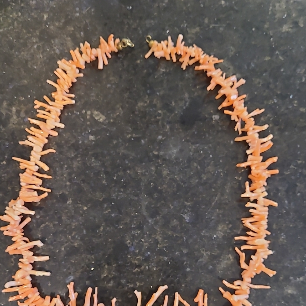 Authentic Coral Necklace